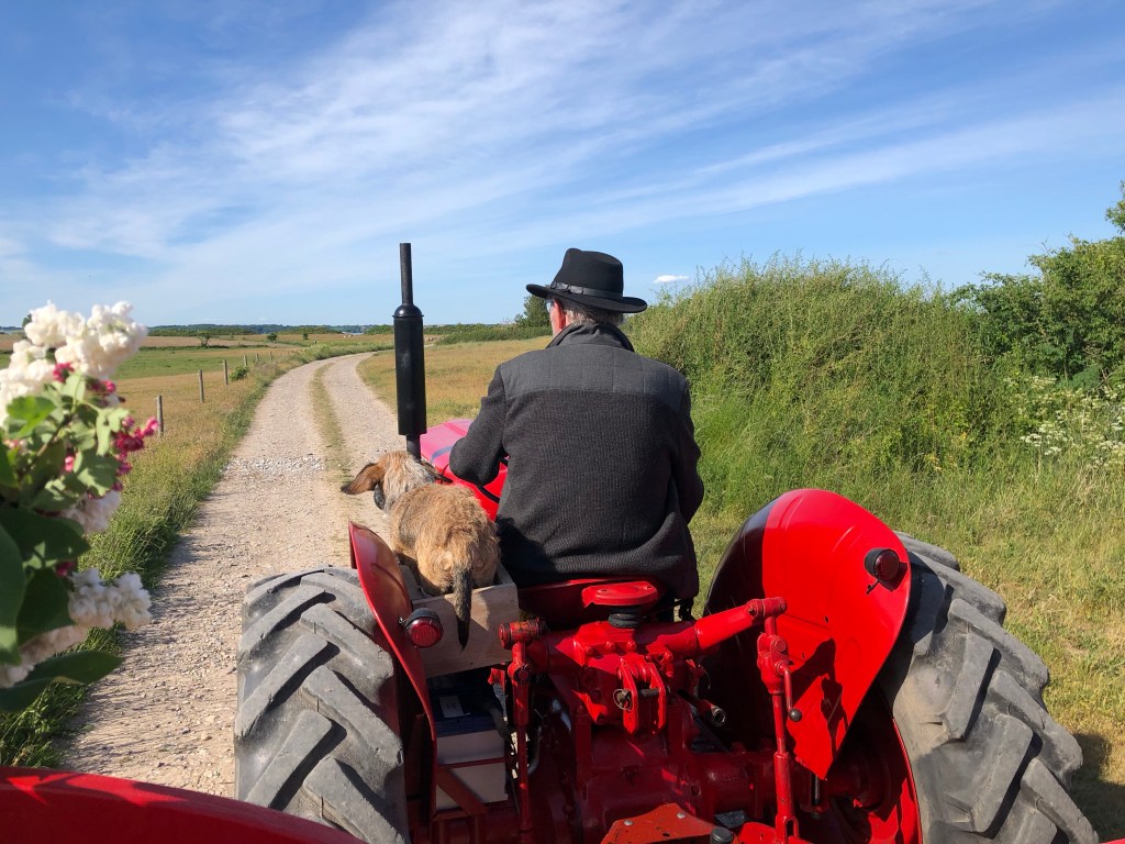 En af de rutinerede traktor-chauffører, Bent Bobcat og hans co-driver, hunden Bertram. 